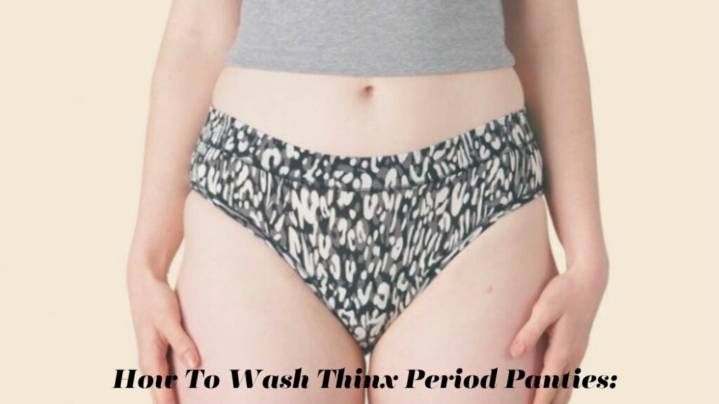Thinx-Period-Panties-Reviews-Where-To-Buy-Thinx-Period-Panties-2023